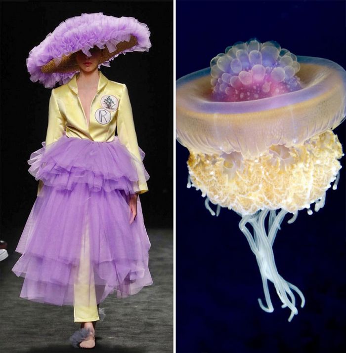 A moda muitas vezes se inspira na natureza e esta conta do Instagram prova isso (32 fotos) 19 A moda muitas vezes se inspira na natureza e esta conta do Instagram prova isso (32 fotos) 19