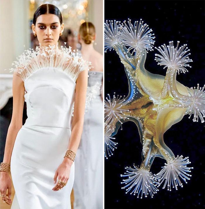 A moda muitas vezes se inspira na natureza e esta conta do Instagram prova isso (32 fotos) 20 A moda muitas vezes se inspira na natureza e esta conta do Instagram prova isso (32 fotos) 20