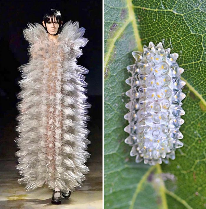 A moda muitas vezes se inspira na natureza e esta conta do Instagram prova isso (32 fotos) 23 A moda muitas vezes se inspira na natureza e esta conta do Instagram prova isso (32 fotos) 23