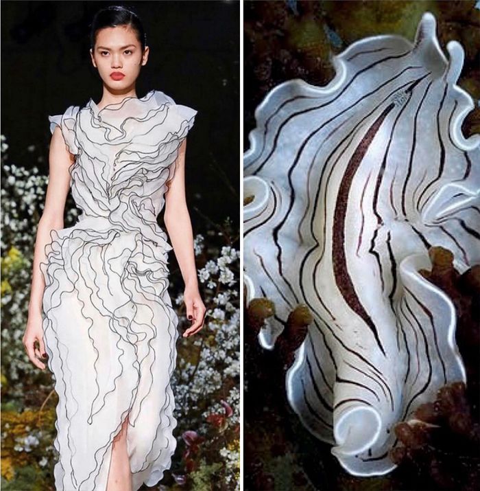 A moda muitas vezes se inspira na natureza e esta conta do Instagram prova isso (32 fotos) 24 A moda muitas vezes se inspira na natureza e esta conta do Instagram prova isso (32 fotos) 24