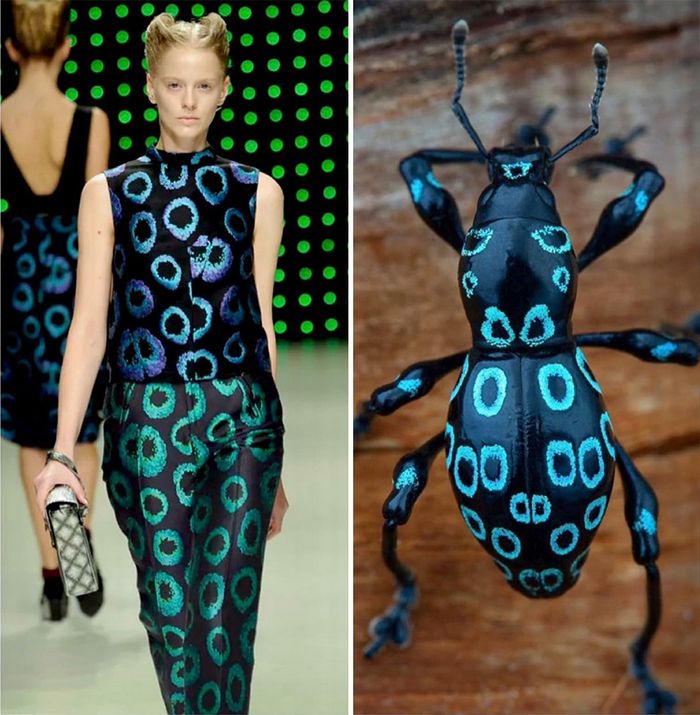 A moda muitas vezes se inspira na natureza e esta conta do Instagram prova isso (32 fotos) 25 A moda muitas vezes se inspira na natureza e esta conta do Instagram prova isso (32 fotos) 25