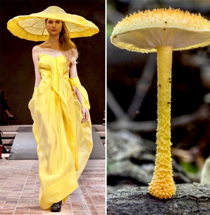 A moda muitas vezes se inspira na natureza e esta conta do Instagram prova isso (32 fotos) 26