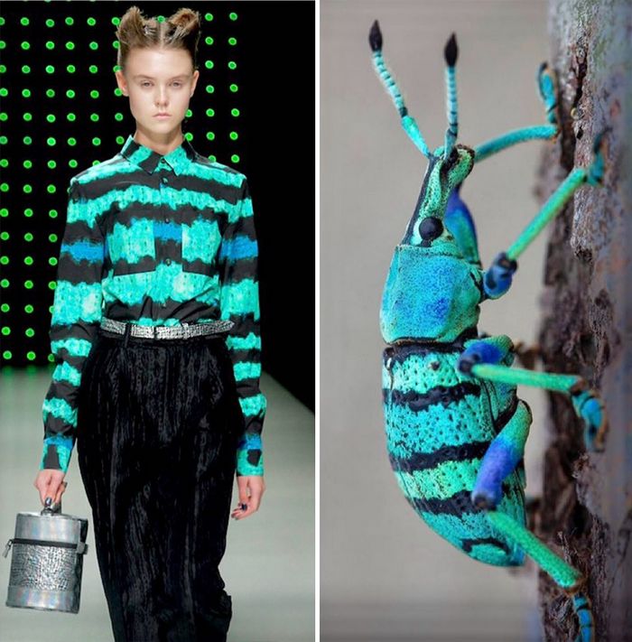 A moda muitas vezes se inspira na natureza e esta conta do Instagram prova isso (32 fotos) 28 A moda muitas vezes se inspira na natureza e esta conta do Instagram prova isso (32 fotos) 28