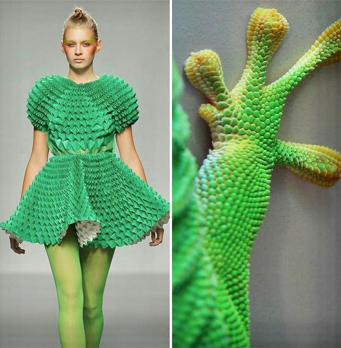 A moda muitas vezes se inspira na natureza e esta conta do Instagram prova isso (32 fotos) 29 A moda muitas vezes se inspira na natureza e esta conta do Instagram prova isso (32 fotos) 29