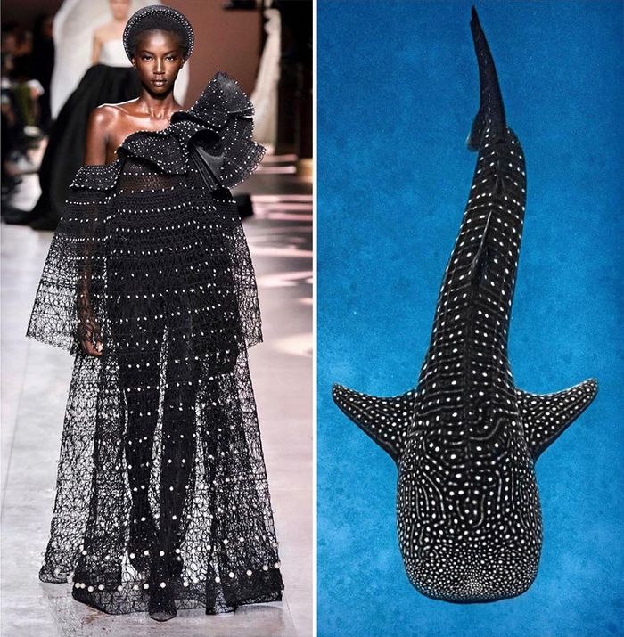 A moda muitas vezes se inspira na natureza e esta conta do Instagram prova isso (32 fotos) 30 A moda muitas vezes se inspira na natureza e esta conta do Instagram prova isso (32 fotos) 30