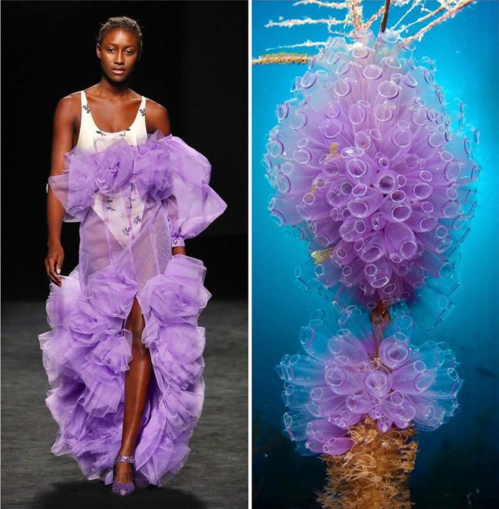 A moda muitas vezes se inspira na natureza e esta conta do Instagram prova isso (32 fotos) 32 A moda muitas vezes se inspira na natureza e esta conta do Instagram prova isso (32 fotos) 32