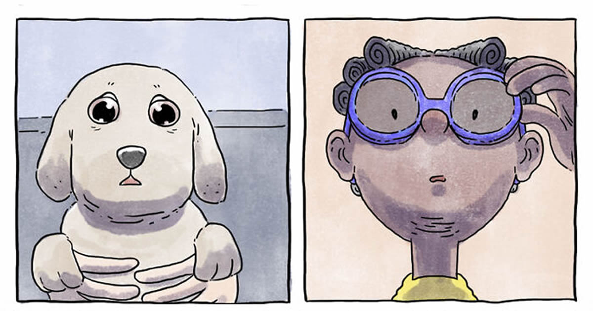 Artista cria quadrinhos sinceros sobre a vida com um novo cachorro (5 histórias)
