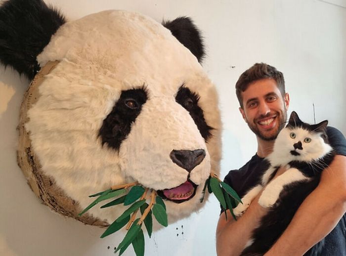 Artista transforma papelão e outros materiais descartados em impressionantes esculturas realistas de animais (22 fotos) 6