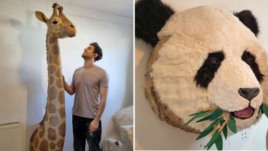 Artista transforma papelão e outros materiais descartados em impressionantes esculturas realistas de animais (22 fotos) 11