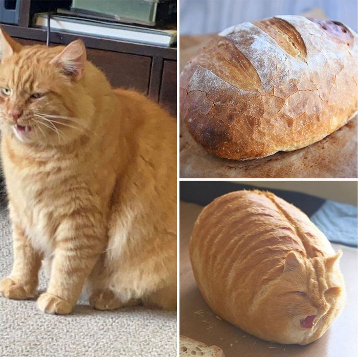 Combinado duas fotos com ajuda da IA Midjourney (39 fotos) 12