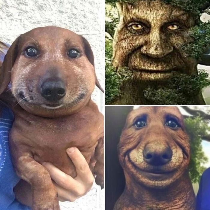 Combinado duas fotos com ajuda da IA Midjourney (39 fotos) 20