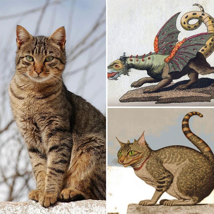 Combinado duas fotos com ajuda da IA Midjourney (39 fotos) 37