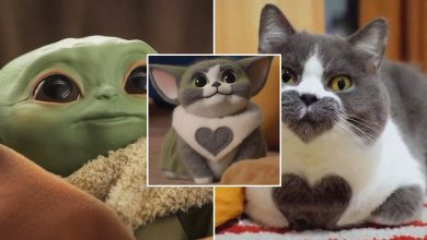 Combinado duas fotos com ajuda da IA Midjourney (39 fotos) 25