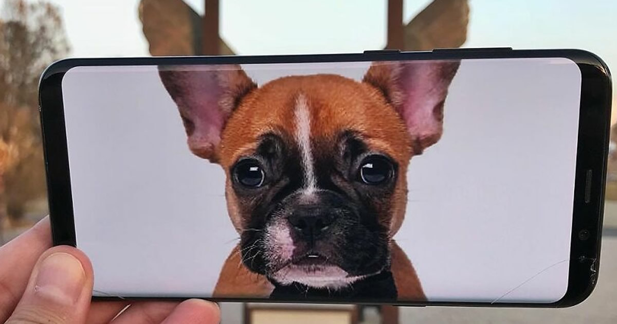 Dando vida a objetos do dia-a-dia com celular e sem Photoshop (23 fotos)