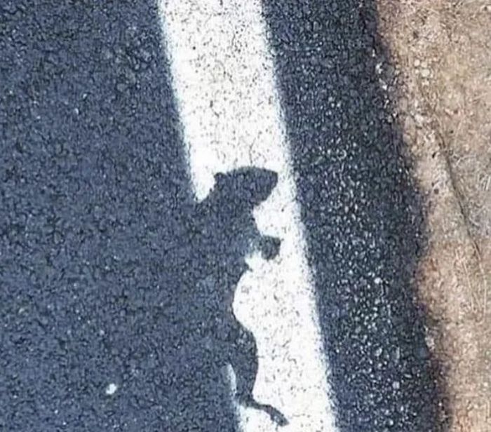 23 estagiários que começaram sua vida de trabalhador errado 21