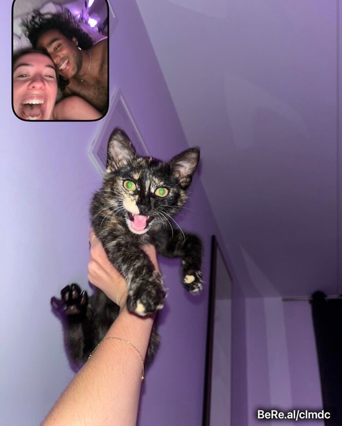 42 fotos engraçadas e épicas compartilhadas por usuários do BeReal ao redor do mundo 3