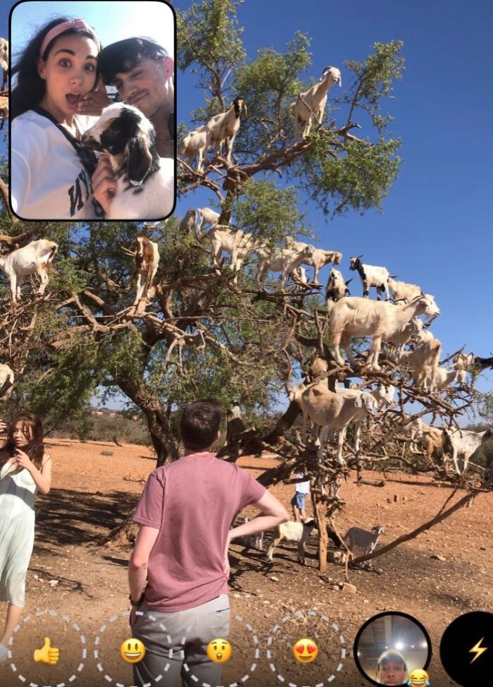 42 fotos engraçadas e épicas compartilhadas por usuários do BeReal ao redor do mundo 13