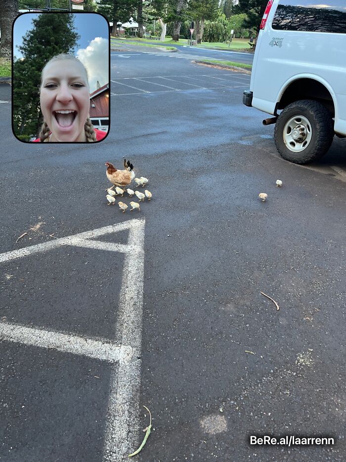 42 fotos engraçadas e épicas compartilhadas por usuários do BeReal ao redor do mundo 15