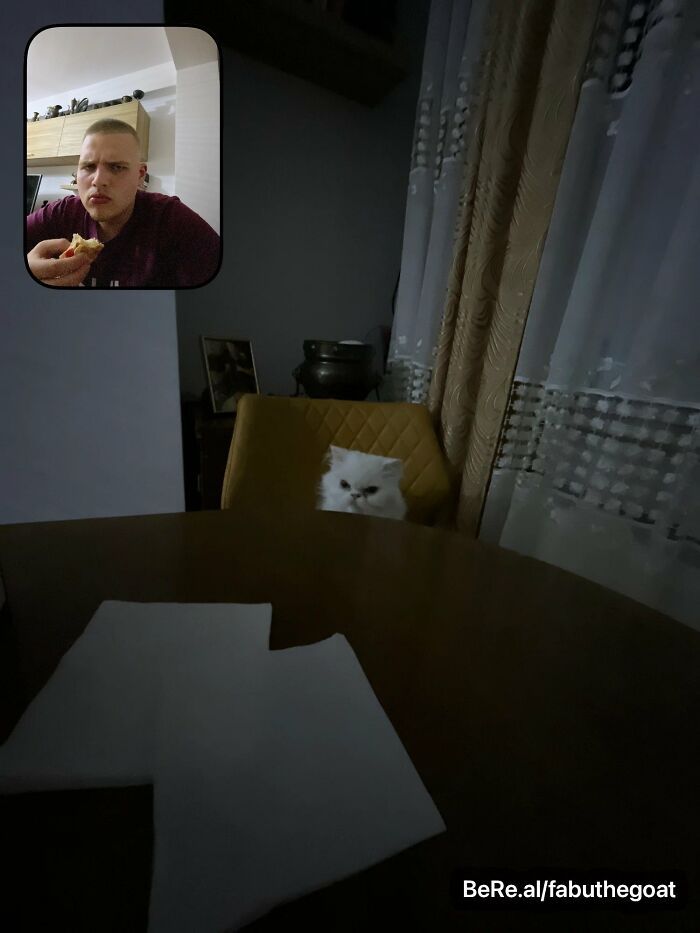 42 fotos engraçadas e épicas compartilhadas por usuários do BeReal ao redor do mundo 17