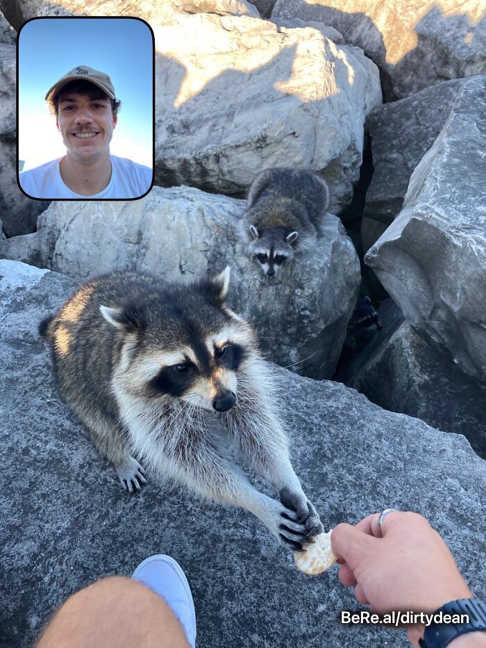 42 fotos engraçadas e épicas compartilhadas por usuários do BeReal ao redor do mundo 25