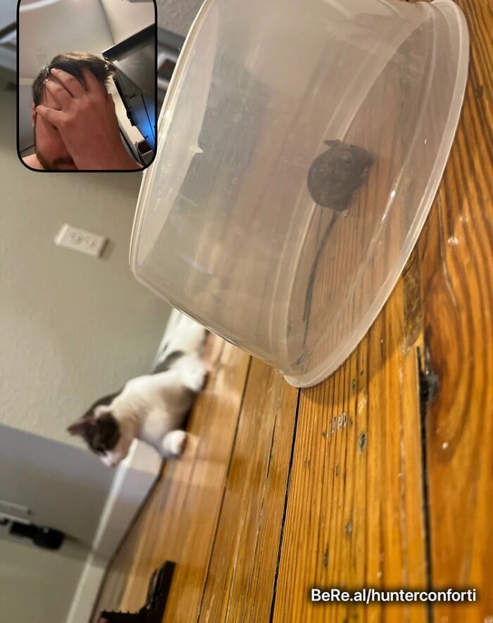 42 fotos engraçadas e épicas compartilhadas por usuários do BeReal ao redor do mundo 34