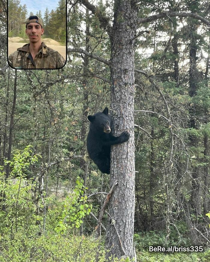 42 fotos engraçadas e épicas compartilhadas por usuários do BeReal ao redor do mundo 40