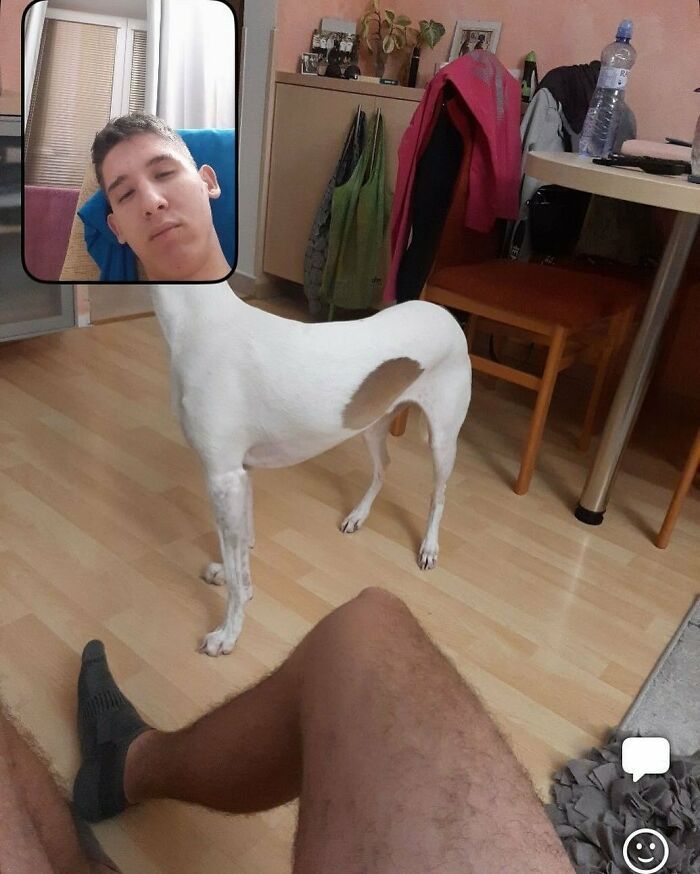 42 fotos engraçadas e épicas compartilhadas por usuários do BeReal ao redor do mundo 42