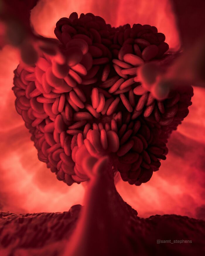 Fotos legais #73 (45 fotos) 2