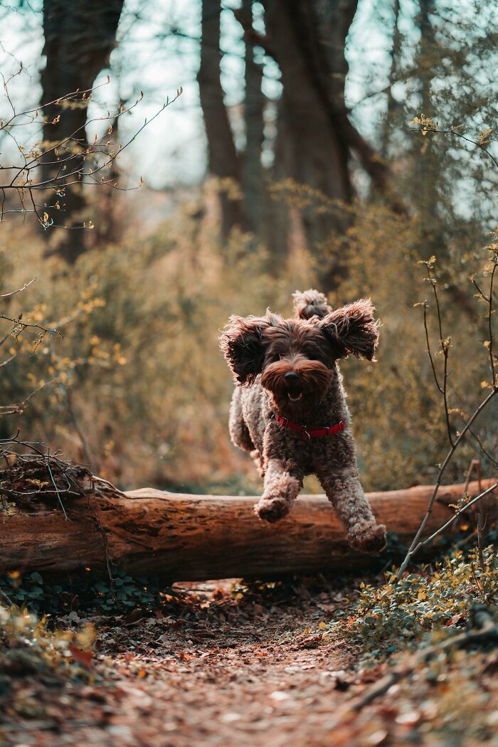 Fotos legais #73 (45 fotos) 3