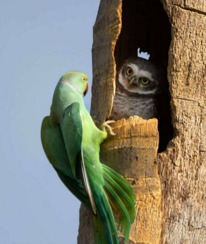 Fotos legais #74 (31 fotos) 8