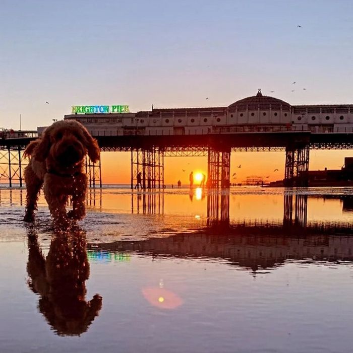 19 fotos que podem fazer você sentir que precisa questionar ainda mais a realidade 1