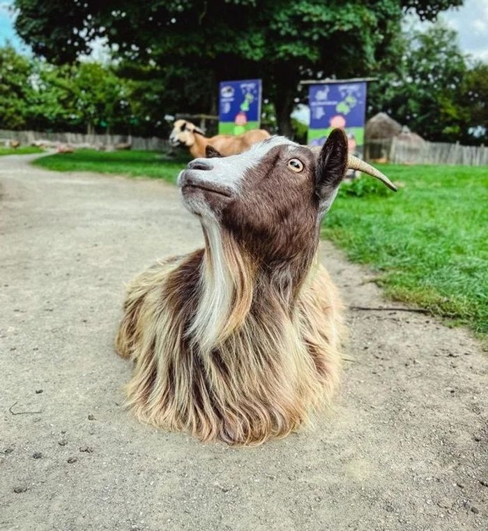 19 fotos que podem fazer você sentir que precisa questionar ainda mais a realidade 4