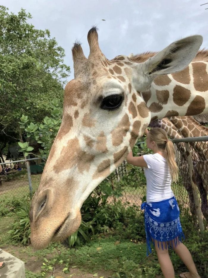 19 fotos que podem fazer você sentir que precisa questionar ainda mais a realidade 5