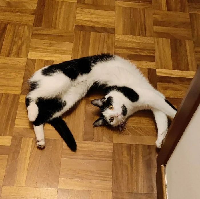 19 fotos que podem fazer você sentir que precisa questionar ainda mais a realidade 7