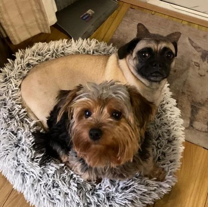 19 fotos que podem fazer você sentir que precisa questionar ainda mais a realidade 10