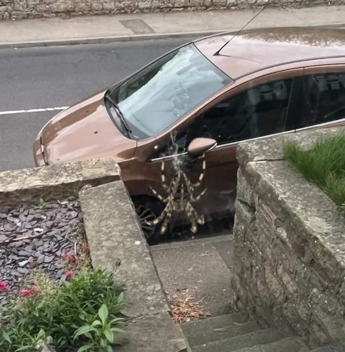 19 fotos que podem fazer você sentir que precisa questionar ainda mais a realidade 11