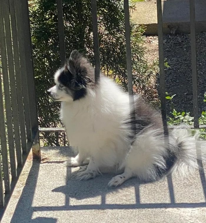 19 fotos que podem fazer você sentir que precisa questionar ainda mais a realidade 15