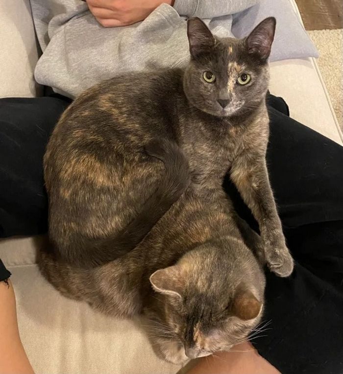 19 fotos que podem fazer você sentir que precisa questionar ainda mais a realidade 17