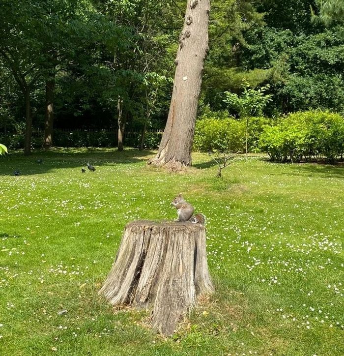 19 fotos que podem fazer você sentir que precisa questionar ainda mais a realidade 18