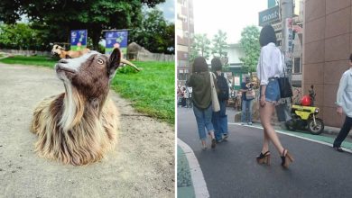 19 fotos que podem fazer você sentir que precisa questionar ainda mais a realidade 28