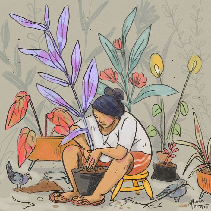 16 ilustrações sobre a vida na quarentena com um gato 1