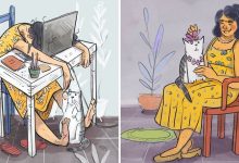 16 ilustrações sobre a vida na quarentena com um gato 3