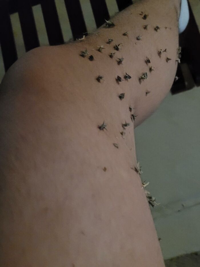 26 imagens mais dolorosas postadas por esta comunidade online 4