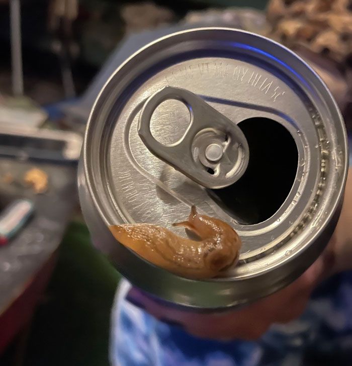 26 imagens mais dolorosas postadas por esta comunidade online 11