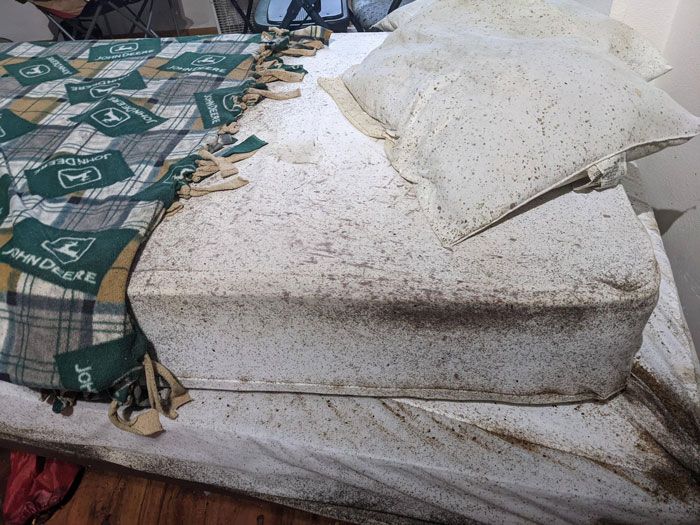 26 imagens mais dolorosas postadas por esta comunidade online 16