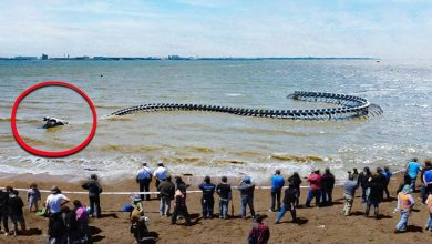 40 momentos incríveis filmados na praia 7
