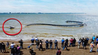 40 momentos incríveis filmados na praia 3