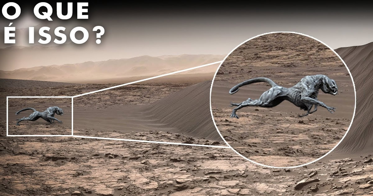 NASA E Elon Musk acabam de fazer uma descoberta aterrorizante em Marte que muda tudo 1