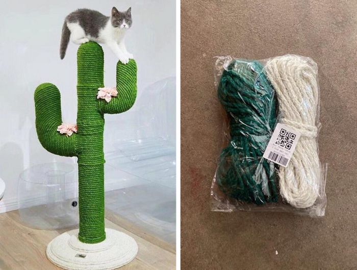 16 pessoas cujas esperanças foram destruídas pela realidade 1