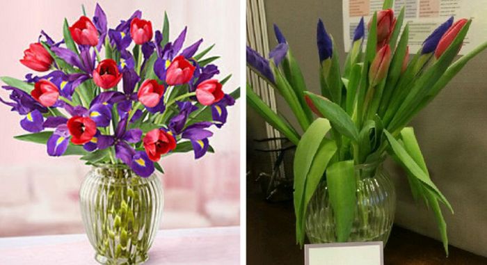 16 pessoas cujas esperanças foram destruídas pela realidade 4